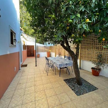 Casa Da Fonte Apartment Condeixa-a-Velha Exterior photo